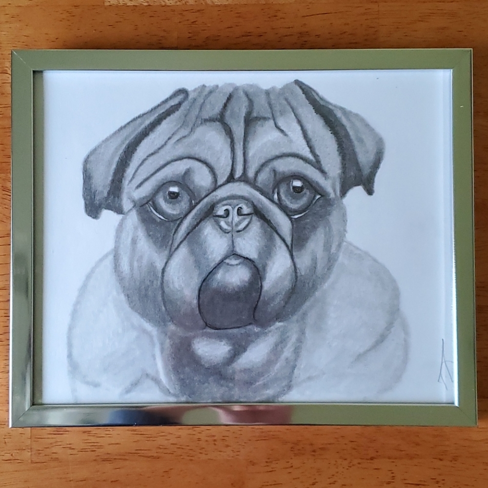 Original, French Bulldog Graphite sketch
